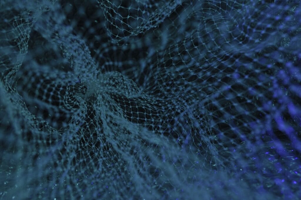 Photo Neural Networks