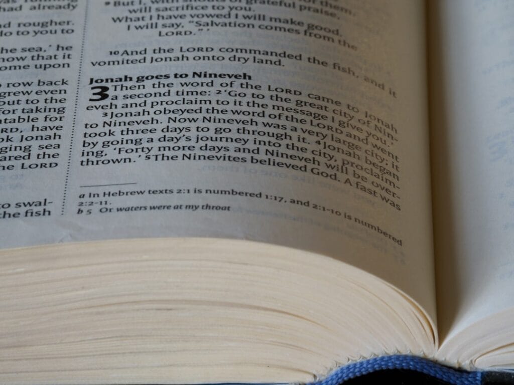 Photo Language Generation